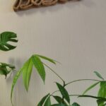 Ihr Reisebüro 10